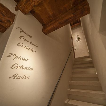 Dimora Corteinfiore Трани Экстерьер фото